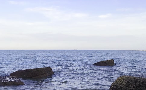 �����ռǶ����