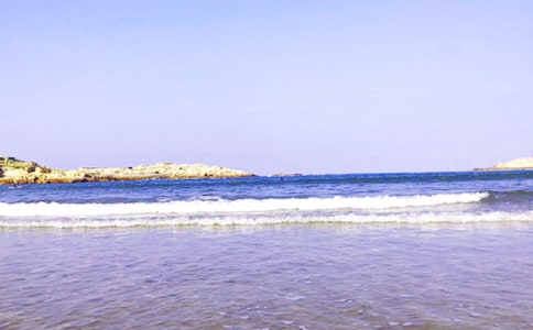 《大海睡了》教学反思