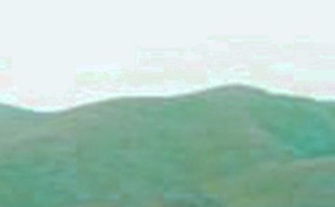 大山救援读后感