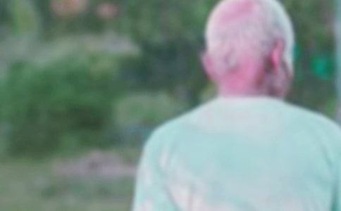 大班语言教案:狼大叔的红焖鸡