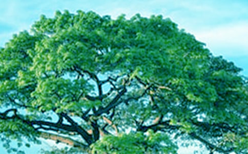 ����������С�ݺʹ����������