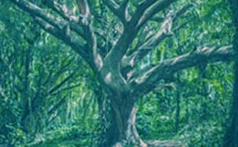 С�ݺʹ��������9ƪ