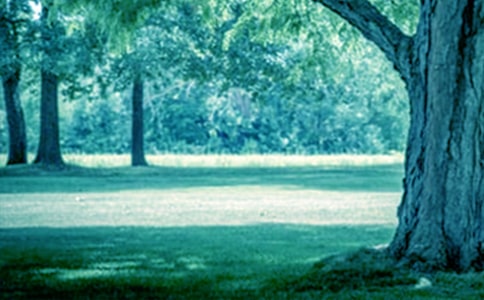 ��С�ݺʹ����������[ʵ��]