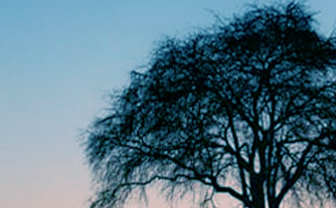 С��������ĶԻ������