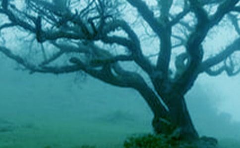 С�ݺʹ��������14ƪ