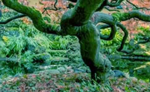 ��С�ݺʹ����������