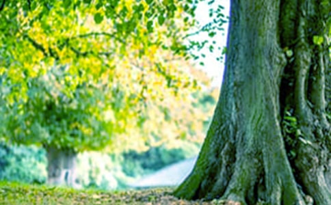 ��С�ݺʹ����������