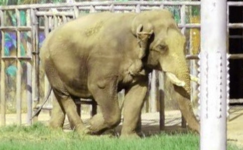 ����Ķ����ѧ���