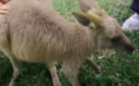 �������д��������Ϸ�̰�