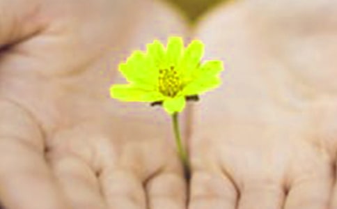 ��Ǹ����˵˵���Դ�ȫ����ѡ70�䣩