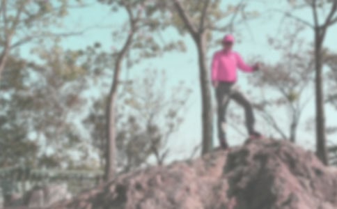 ��ɽ��ܽᷢ��