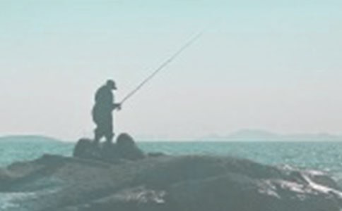 ��Сè���㡷��ѧ���