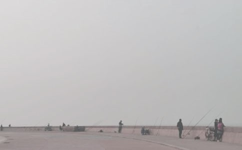 ���������ʾ����ѧ��˼15ƪ