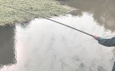 ���������ʾ�������