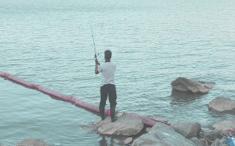 钓鱼的启示教学反思优秀