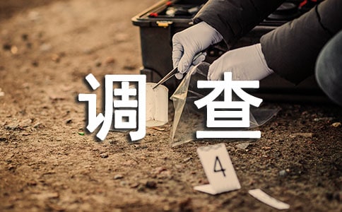 ���ʵ�����鱨��(��ѡ15ƪ)