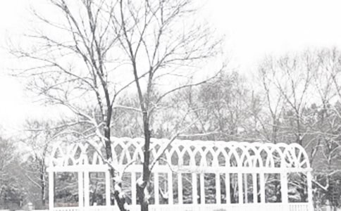 《饥饿的冬季》读后感