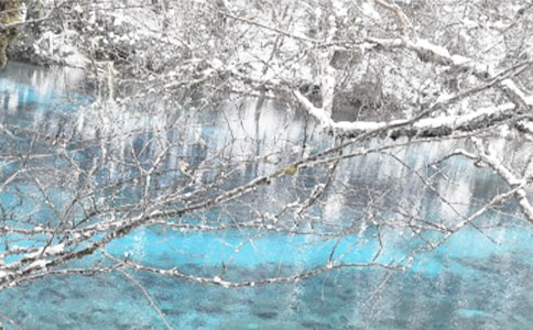 ���������ʺ���