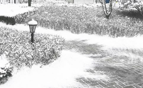 ��ඬ����Ⱦ��Ԥ���̰�ģ��