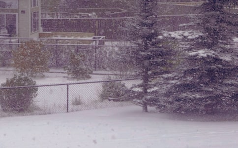 ���յĸ���