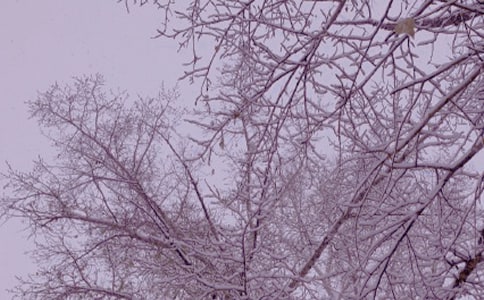 寒假冬日暖阳社会实践报告