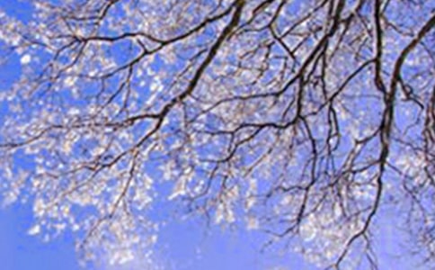 �����ϵĶ��졷�̰�