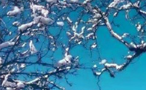 《济南的冬天》教学设计