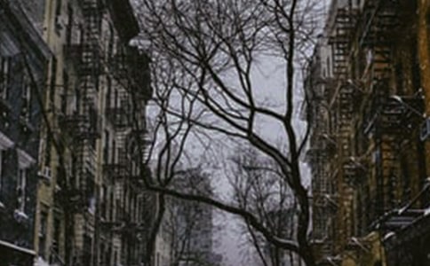 ���꼶���ϵĶ���̰���� ���ϵĶ���̰��������