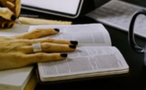 һ�����ӵ����ж����