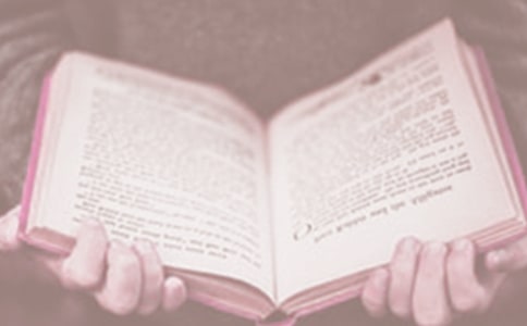 ����������ر��Ŀ�ۺ��