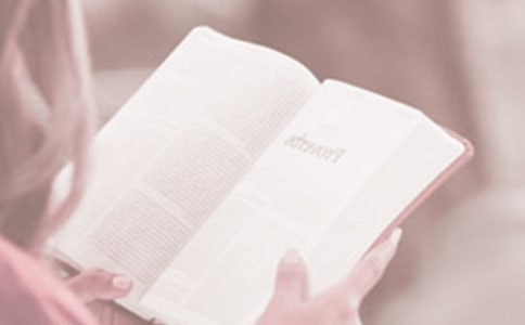 ͼ�����������ջ�ܽ�����