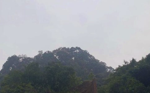 ����üɽ�¸衷��ѧ���