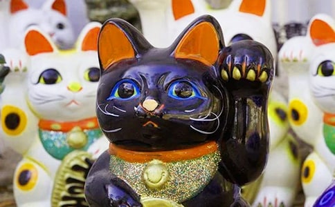 �����յĹ�ϲ����ף����