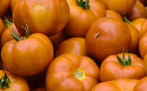 《番茄太阳》教学反思