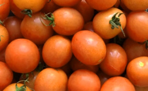 ������̫������ѧ���