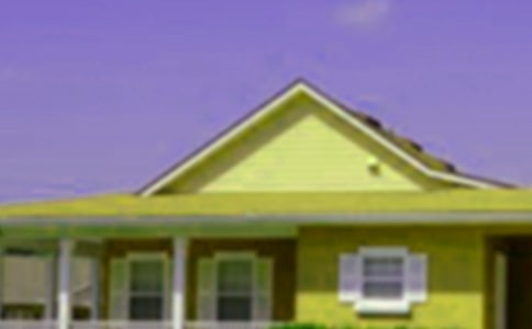 ���˷��ӵ�������ͬ����