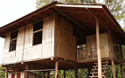 大班语言房子教案