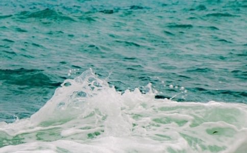 ��������㡷�����