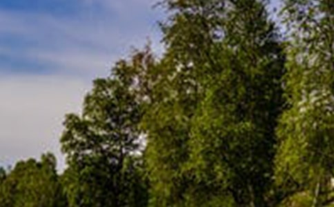 ��������ӷ羰��ʤ�����λ�ӭ��