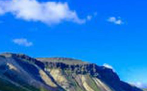 风景园林专业实习报告