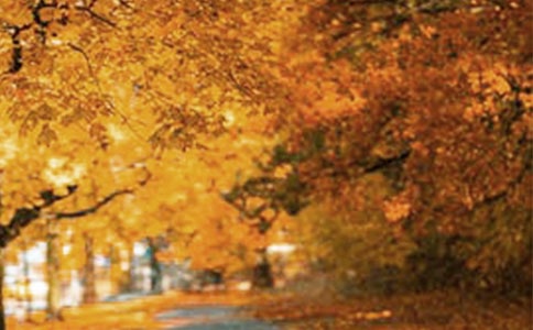 《窗外的风景》小学美术教学设计