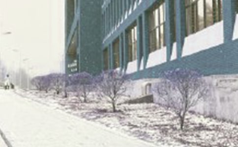 读《林教头风雪山神庙》有感模板