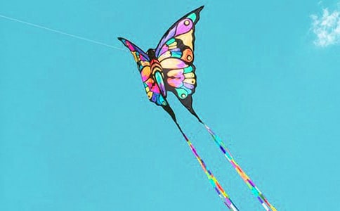 ֽ���ͷ��ݽ�ѧ��˼