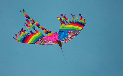 �����ݡ��̰�