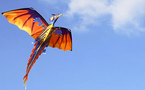 《风筝的歌唱》大班教案