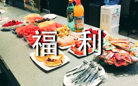 【实用】福利院工作总结4篇