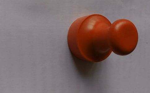 大班语言活动教案:爱盖章的国王