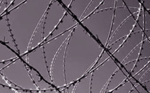 ���������򵥺�ͬ����