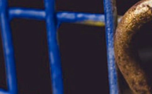 观看钢铁意志观后感