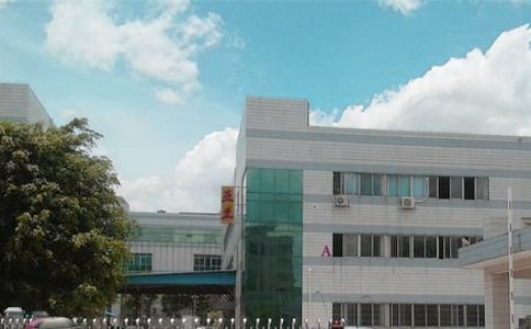 ���������ĵ����